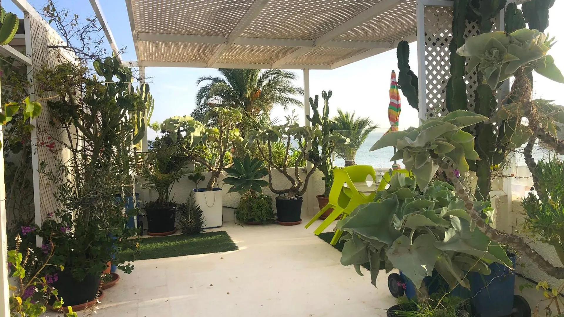 El Jardin Del Camaleon Apartment Agua Amarga  Spain