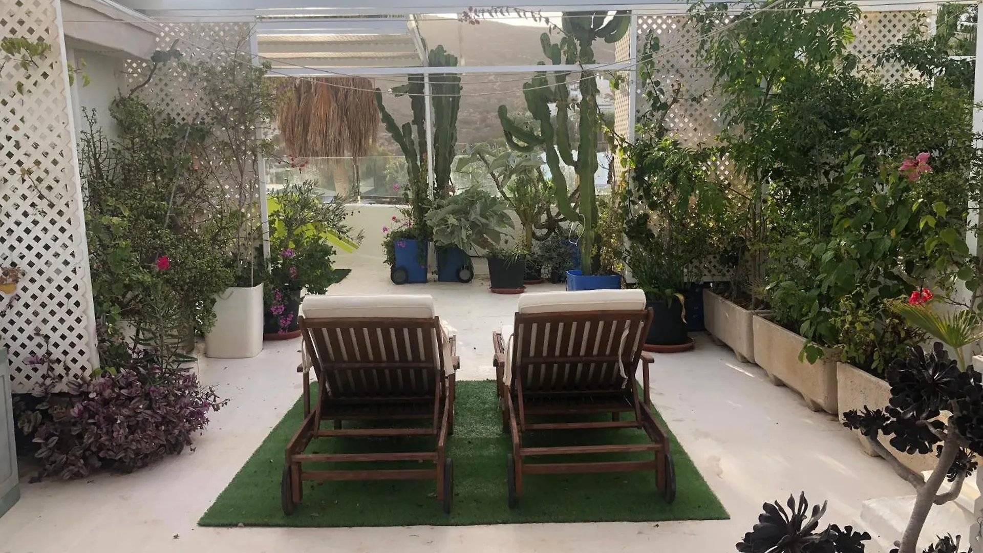El Jardin Del Camaleon Apartment Agua Amarga  0*, Agua Amarga (Almeria) Spain