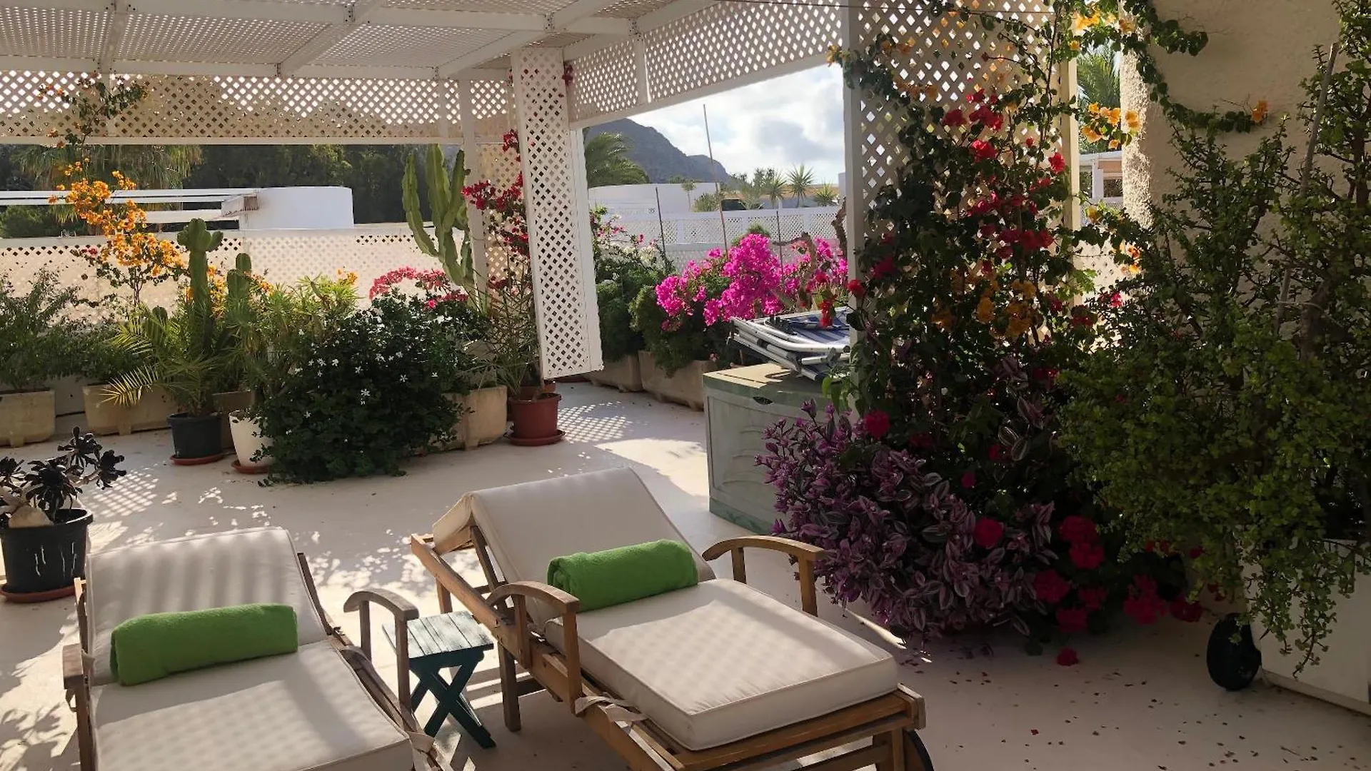 El Jardin Del Camaleon Apartment Agua Amarga  Spain