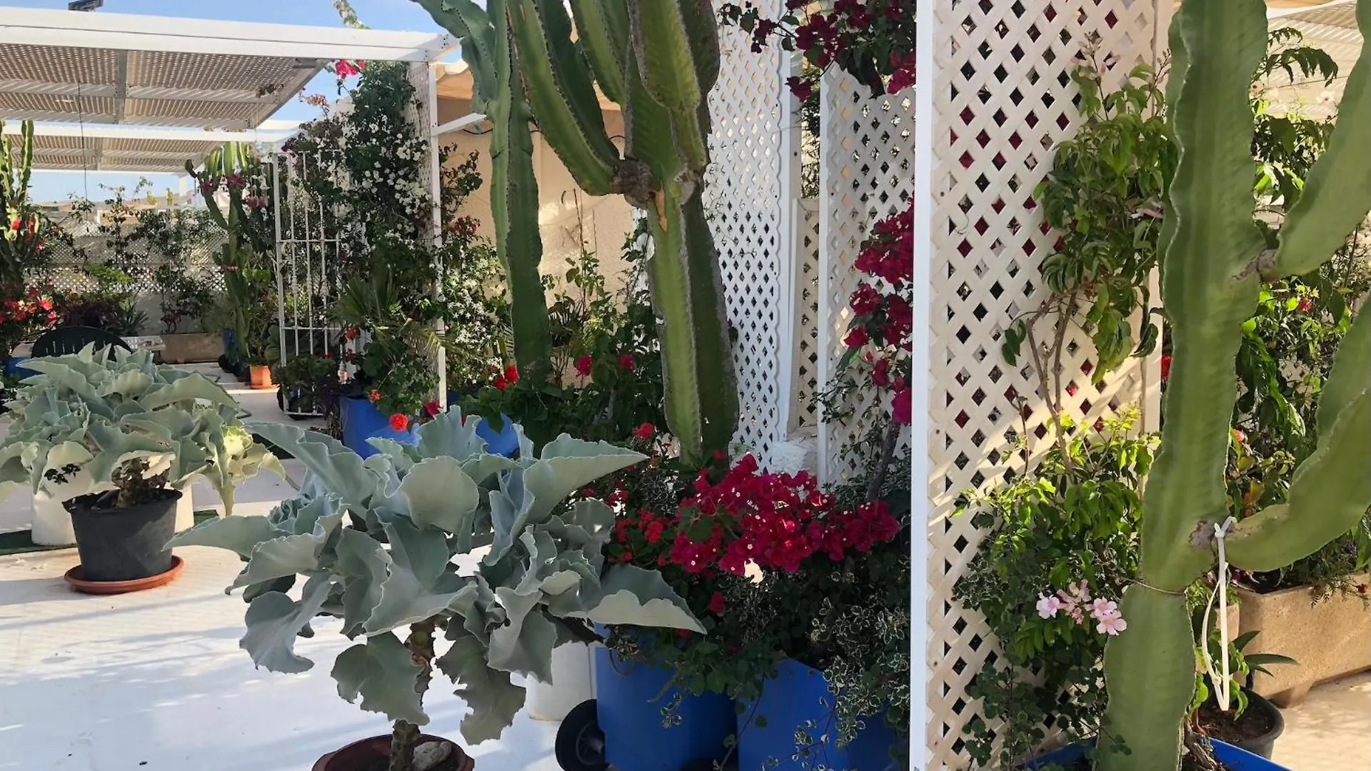 El Jardin Del Camaleon Apartment Agua Amarga